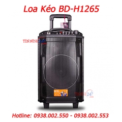 Loa Karaoke Di Động BD-H1265