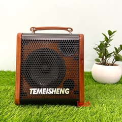 Loa Karaoke Di Động Xách Tay Temeisheng JT06-53