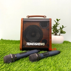 Loa Karaoke Di Động Xách Tay Temeisheng JT06-53