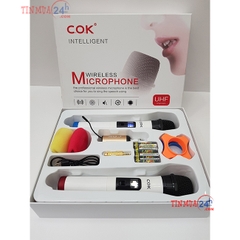 Bộ Micro Không Dây COK ST-300