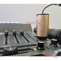 Cặp Micro Karaoke Không Dây COK ST-118