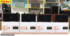 Loa Karaoke Xách Tay T18 Pro