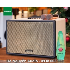 Loa Karaoke Xách Tay Paramax Saga Cao Cấp 2026