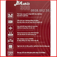 Loa Karaoke Xách Tay ACNOS D'Auris 300