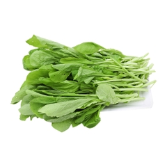 Cải xanh VinEco
