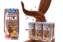 Sữa Pauls Hương Socola 200ml