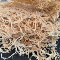 Eucheuma Spinosum