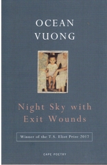 Night Sky with Exit Wounds