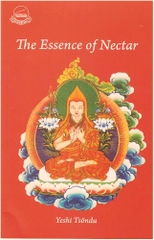 The Essence of Nectar
