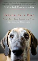 Inside of A Dog