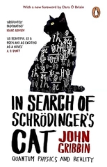 In Search Of Schrodingers Cat