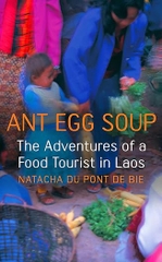 Ant Egg Soup: The Adventures Of A Food Tourist In Laos