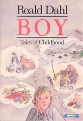 Boy: Tales Of Childhood