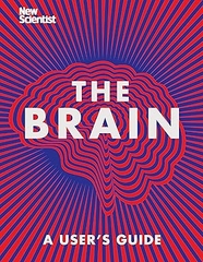 The Brain: A User's Guide