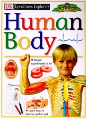 Human Body