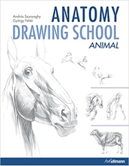 Anatomy Drawing School Animal