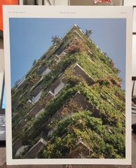 Building Nature Green