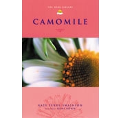 Camomile