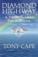 Diamond Highway A Tibetan Buddhist Path in American