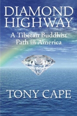 Diamond Highway A Tibetan Buddhist Path in American