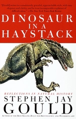 Dinosaur In A Haystack