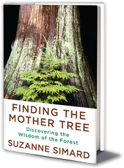 Finding the Mother Tree