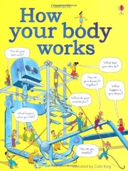 How Your Body Works