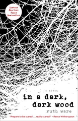 In a Dark Dark Wood