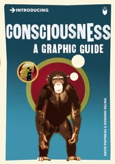 Introducing Consciousness Graphic Guide