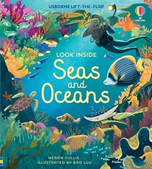 Look Inside Seas and Oceans