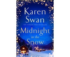 Midnighht In The Snow