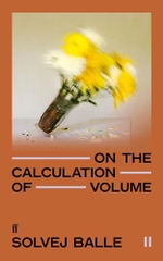 On The Calculation Of Volume 2