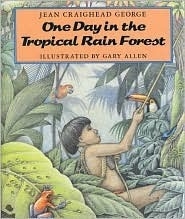 One Day in the Tropical Rain Forest