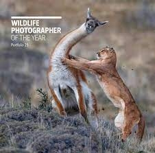 Wildlife Photographer Of The Year Portfolio 29