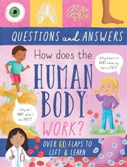 Questions And Answers How Does The Human Body Work