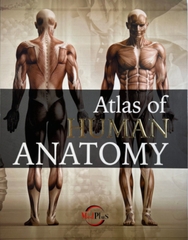 Atlas Of Human Anatomy