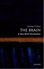 the brain a very short Introduction
