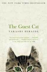 Guest Cat