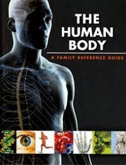 The Human Body