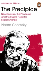 The Precipice: Neoliberalism The Pandemic And The Urgent Need For Radical Change
