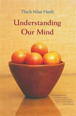 Understanding Our Mind