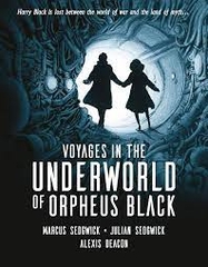 Voyages In The Underworld Of Orpheus Black