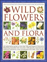 Wild Flowers and Flora