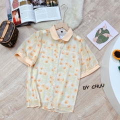 ASM Hoa Cổ Sen Màu