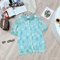 ASM Hoa Cổ Sen Màu