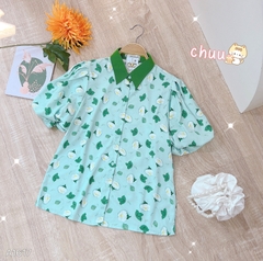 ASM Tay Bí Cổ Màu