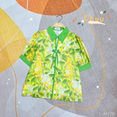 Áo Sơ Mi Cổ Màu Nơ 4C A1728