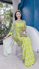 Áo Dài Cổ Li Gấu Thỏ AD1598 (áo lẻ)
