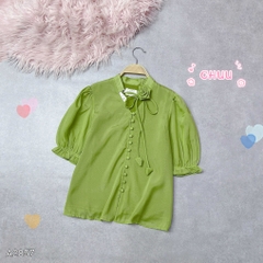 Áo Hoa Hồng Xếp A2857