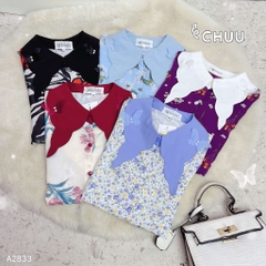 Áo Sơ Mi Cổ Cánh Điệp A2833
